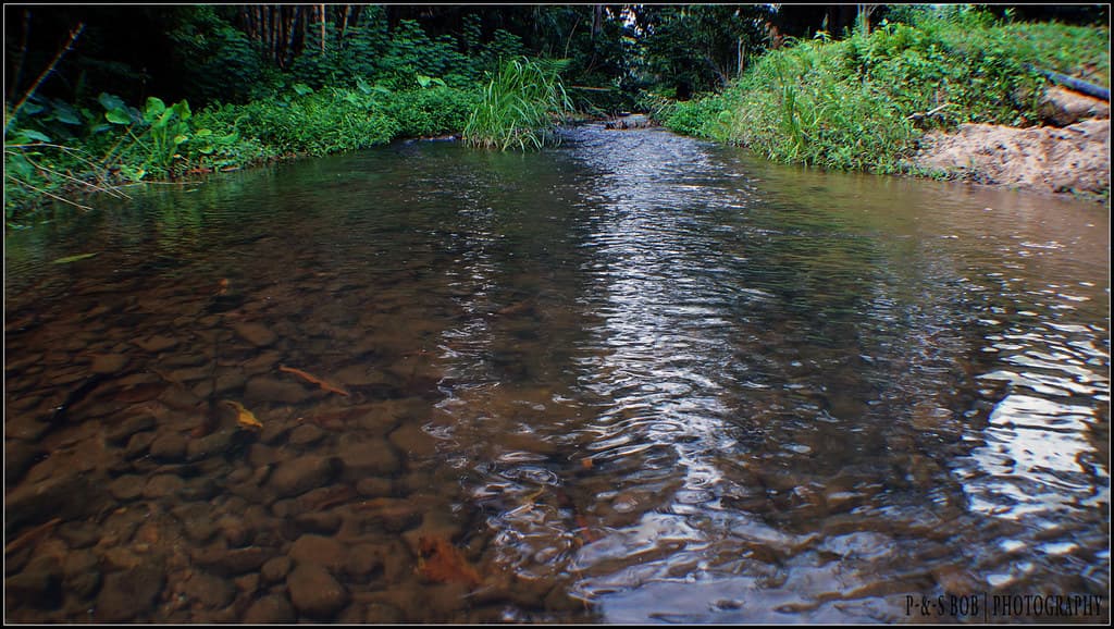 Janda Baik highland landscape with forested hills